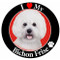 I Love My Bichon Frise Magnet