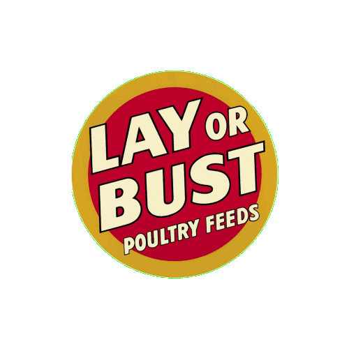 Lay or Bust Poultry Feeds Porcelain Refrigerator Magnet