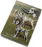 Dalmation Playing Cards