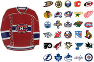 NHL Jersey Pin - Choose Your Team