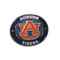 Auburn University Oval Pin