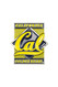 University of California Diamond Pin