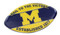 University of Michigan Football Magnet