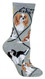 Cavailer King Charles Spaniel Dog Gray Cotton Ladies Socks