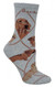 Red Dachshund Dog Gray Cotton Ladies Socks