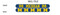 University of Michigan Nail File