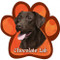 Chocolate Labrador Paw Print Magnet