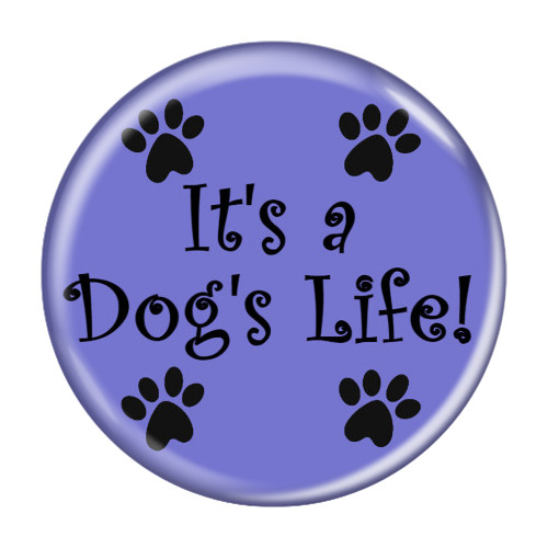 Enthoozies It's a Dog's Life Periwinkle 2.25 Inch Diameter Pinback Button