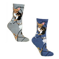 Chihuahua on Blue and on Gray Large Cotton Socks (2 Pairs)