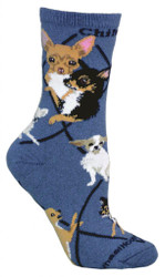 Chihuahua Dog Blue Large Cotton Socks (6 Pack)