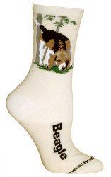 Beagle Natural Large Cotton Socks (6 Pack)