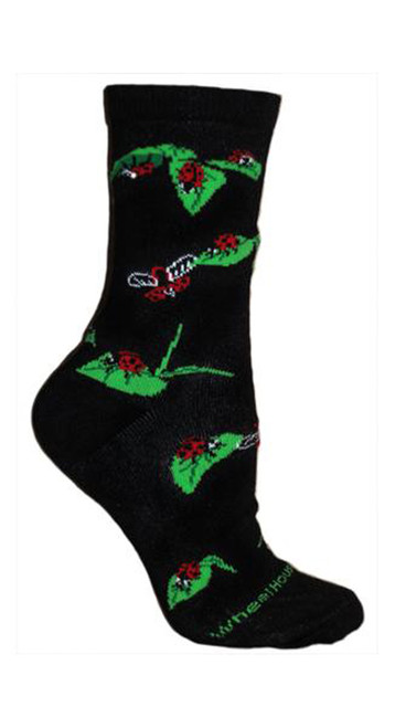 Ladybugs Black Cotton Ladies Socks (6 Pack)