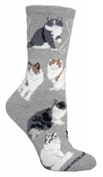 Ragamuffin Cat Gray  Cotton Ladies Socks (6 Pack)