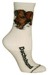 Brown Dachshund Natural Color Cotton Ladies Socks (6 Pack)