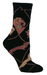 Red Dachshund Dog Black Cotton Ladies Socks (6 Pack)