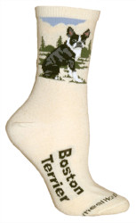 Boston Terrier Natural Large Cotton Socks (6 Pack)