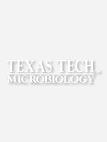 Texas Tech Microbiology White Decal