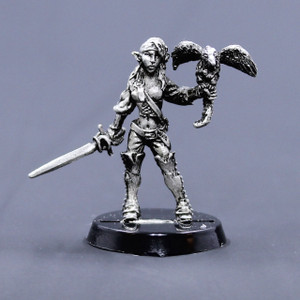 Elf female buccaneer with dwarf gryphon and rapier