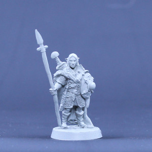 Alfr Male standing guard / Spear and shield