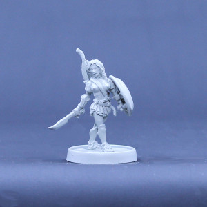 Amazon Adventurer sword and shield