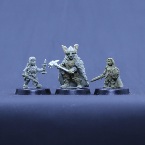 Halfling Thief, Dwarf Cleric, Gnome Fighter