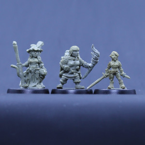 Halfling Witch, Dwarf Ranger, Gnome Thief