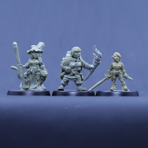 Halfling Witch, Dwarf Ranger, Gnome Thief
