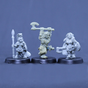 Gnome Amazon, Dwarf Fighter, Halfling Barbarian