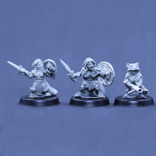 Halfling Knight, Dwarf Amazon, Gnome ranger