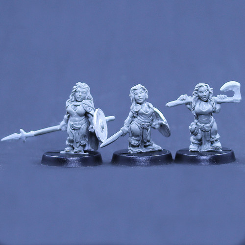 Northern Dwarven Blade Maidens