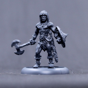 Barbarian Hero