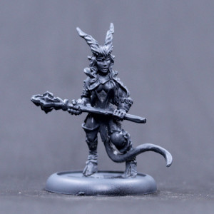 Tiefling Cleric/ paladin
