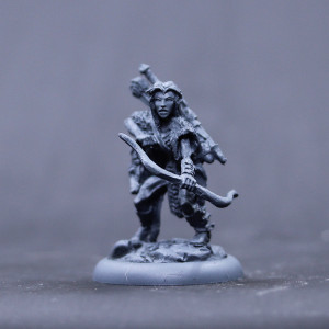 Female Grey elf wolf warrior with bow