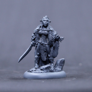 Female Grey elf wolf warrior Lady with Seax