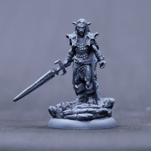 Male Grey Elf Wolf Lord with rune sword