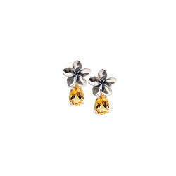 Earrings With Gemstones
