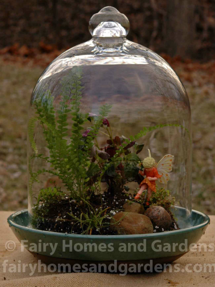Fairy Garden Terrarium Tutorial Fairy Homes And Gardens