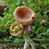 Little Frog and Tiny Ladybug on Mushroom Figurine