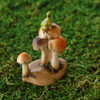 Tiny Frog on Miniature Mushrooms