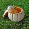 Fairy Baby Sleeping in White Pumpkin Shell