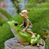 Miniature Pixie Riding a Frog