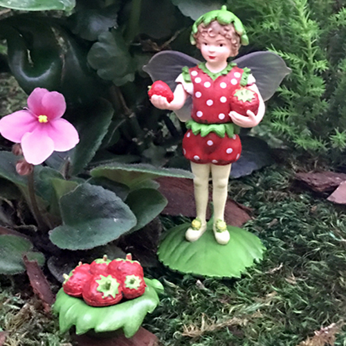 Secret Garden Flower Fairies Fairy Garden Mini Imaginary Plants 