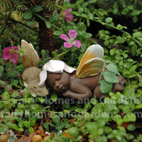 Miniature Ebony Fairy Baby Sleeping with Squirrel