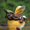 Ebony Fairy Sleeping on Mushroom Close Up