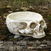 Skull Miniature Garden Container