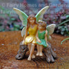 Fairy Sisters on Bench