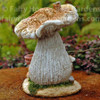 Top Collection Mushroom Fairy House Back View