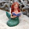 Miniature Mermaid Reading