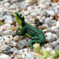 Miniature Alligator