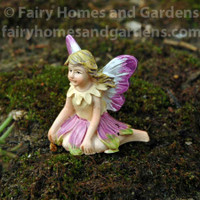 Micro Mini Fairy Petal